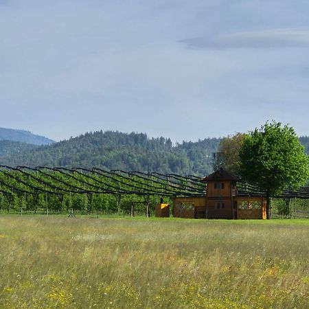 Unique Wooden Holiday House In Nature Lukovica pri Domzalah Exterior photo